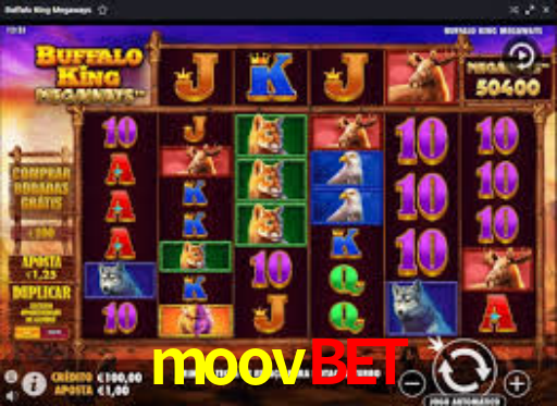 moovbet casino